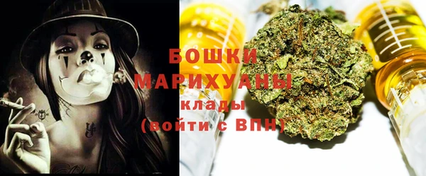 мдпв Осташков